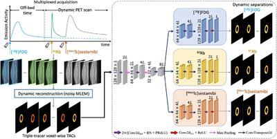 Deep learned triple-tracer multiplexed PET myocardial image separation